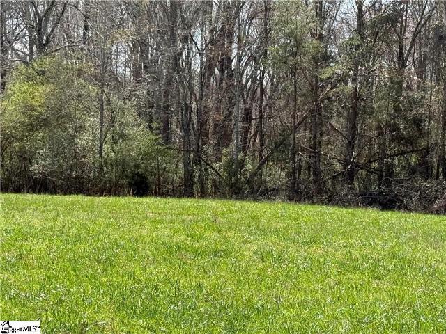 Land for sale in Pelzer, South Carolina