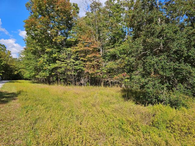 Land for sale in Tennessee