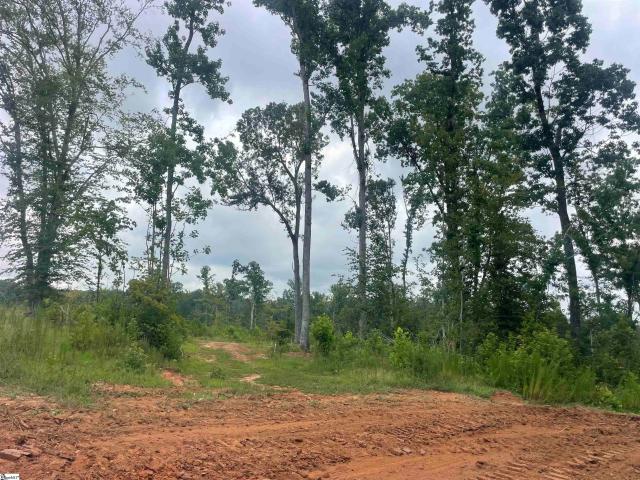 Land for sale in Laurens, South Carolina