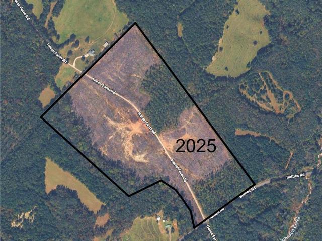 Land for sale in Iva, Abbeville County