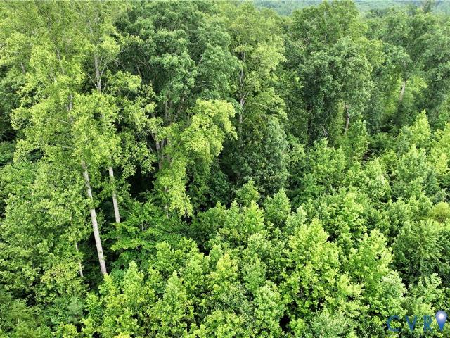 Land for sale in Virginia