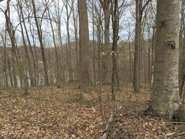 Land for sale in Tennessee