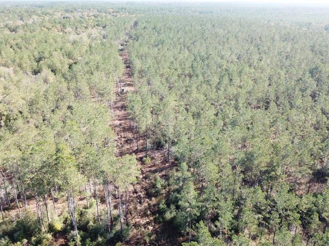 Land for sale in Kountze, Hardin County