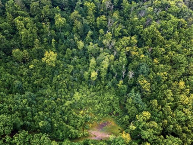 Land for sale in New Hampshire