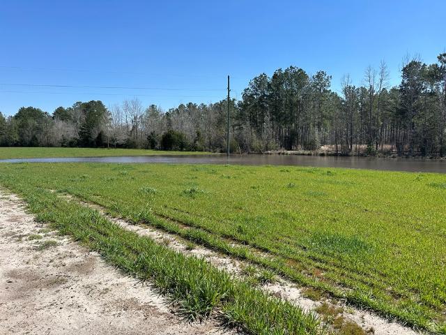 Land for sale in Dale, Alabama