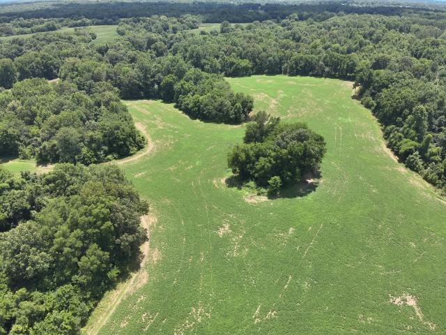 Land for sale in Bardwell, Kentucky