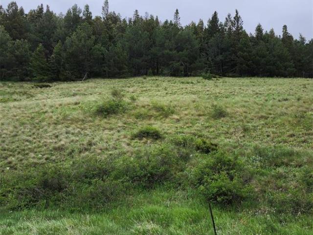 Land for sale in Fort Garland, Colorado