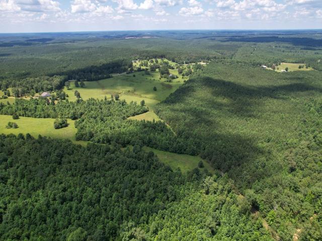 Land for sale in Hamilton, Alabama