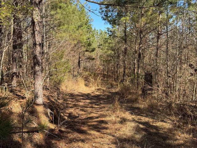 Land for sale in Russellville, Alabama