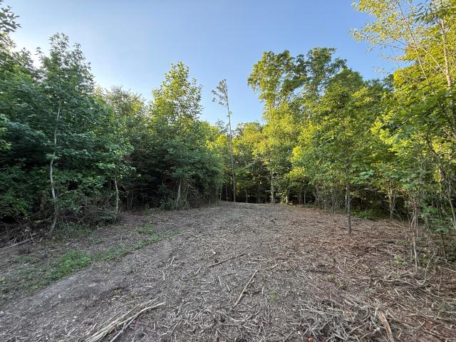 Land for sale in Trenton, Georgia