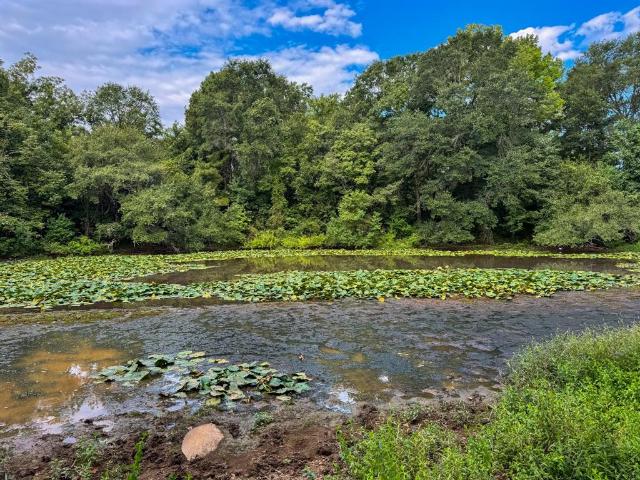 Land for sale in Marion, Texas
