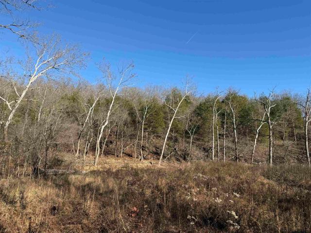 Land for sale in Ark