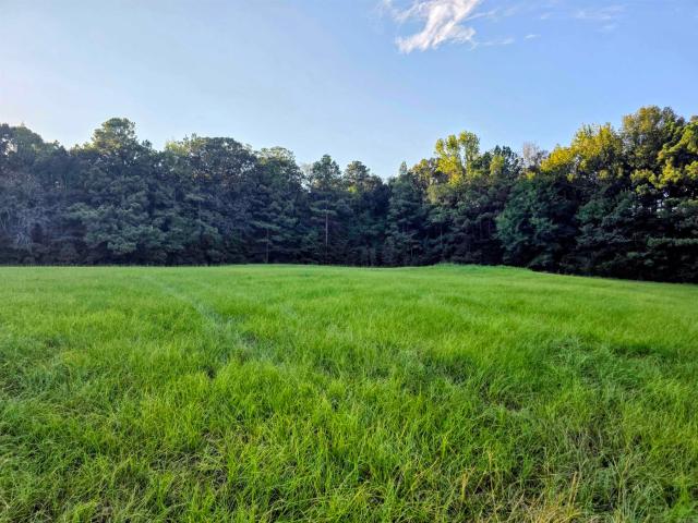 Land for sale in Rison, Cleveland County