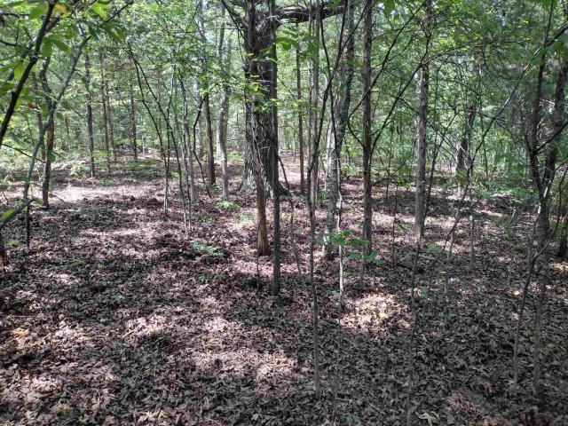 Land for sale in Ark