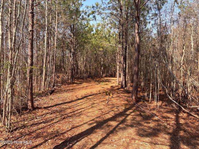 Land for sale in Como, North Carolina