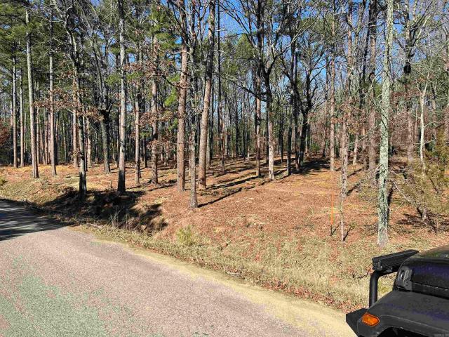 Land for sale in Ark