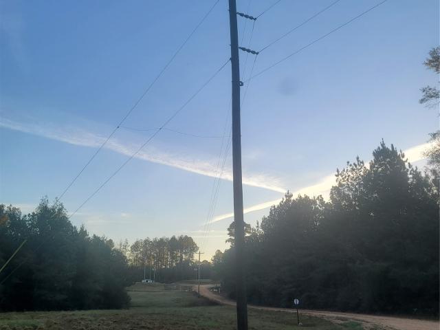 Land for sale in Evergreen, Alabama