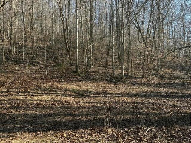 Land for sale in Tennessee