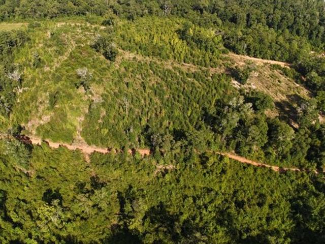 Land for sale in Jackson, Alabama
