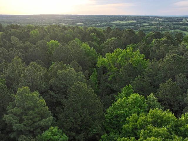 Land for sale in Ark