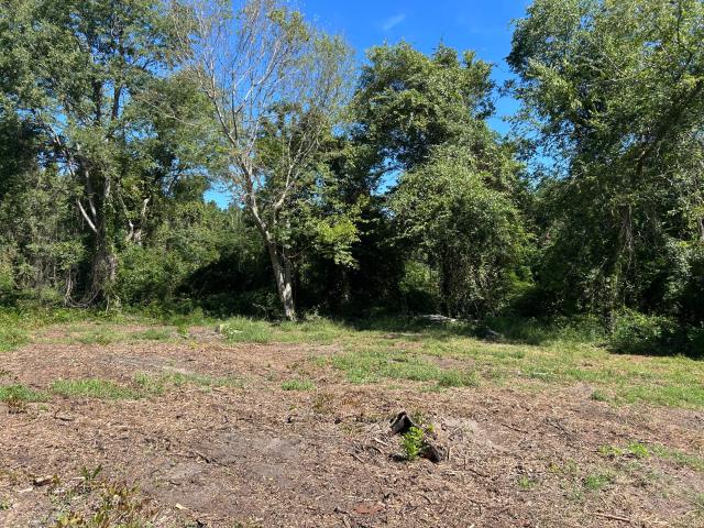 Land for sale in Summerton, Clarendon County