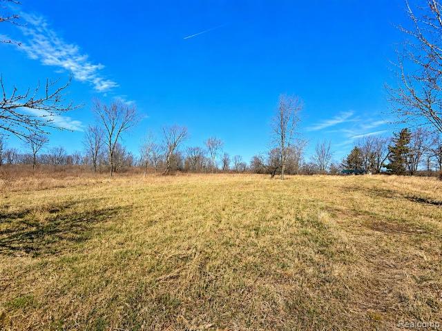 Land for sale in Brown City, Michigan