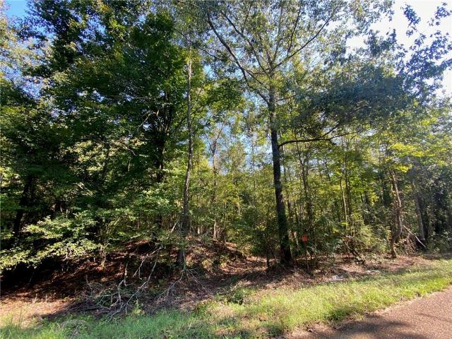 Land for sale in Olla, LaSalle Parish