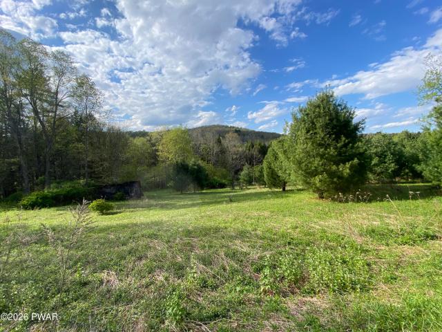 Land for sale in Equinunk, Pennsylvania