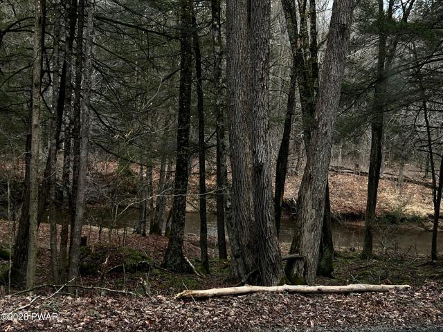 Land for sale in Equinunk, Pennsylvania