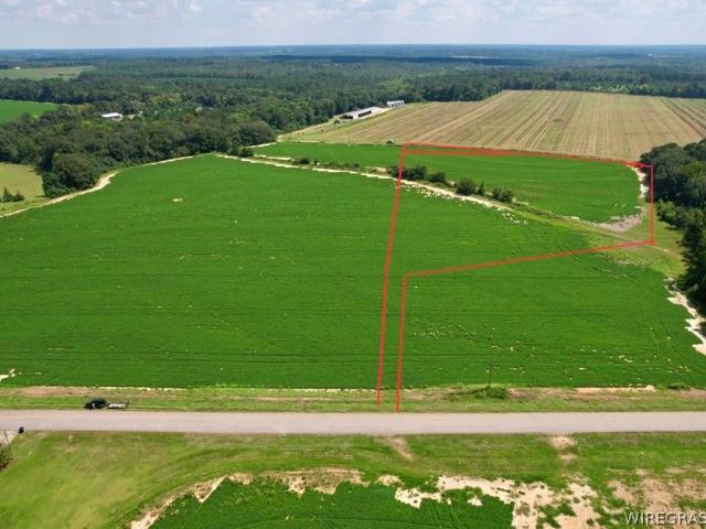 Land for sale in Newton, Alabama