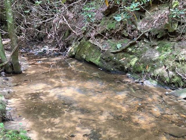 Land for sale in Mount Airy, North Carolina