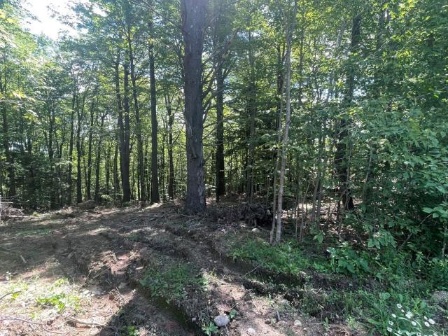 Land for sale in New Hampshire