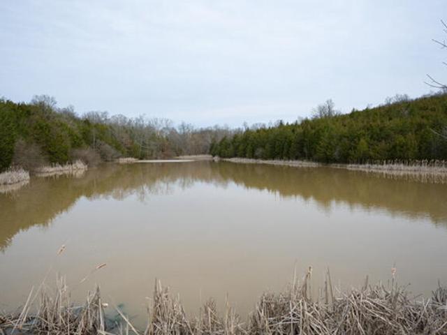 Land for sale in Campbell, Kentucky