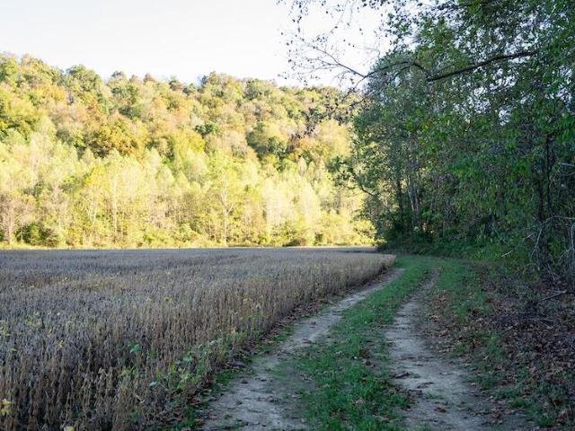 Land for sale in Vanceburg, Kentucky