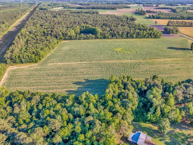 Land for sale in Turkey, Sampson County
