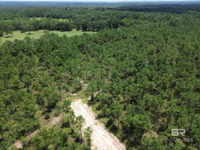 Land for sale in Seminole, Alabama