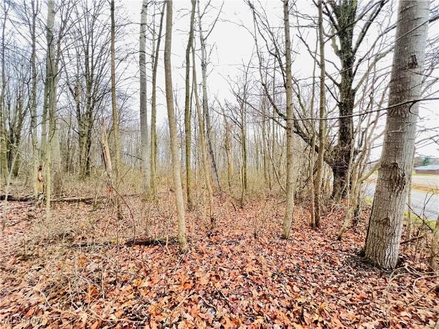 Land for sale in Kinsman, Ohio