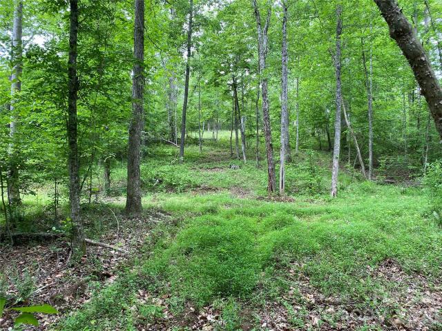 Land for sale in Rutherford, North Carolina