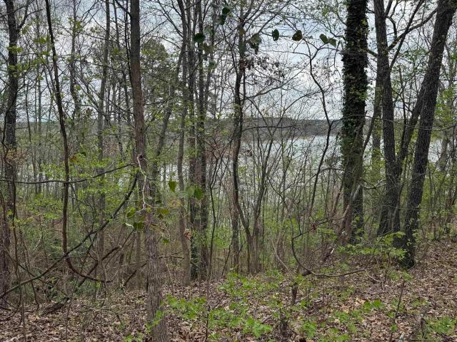 Land for sale in Ark