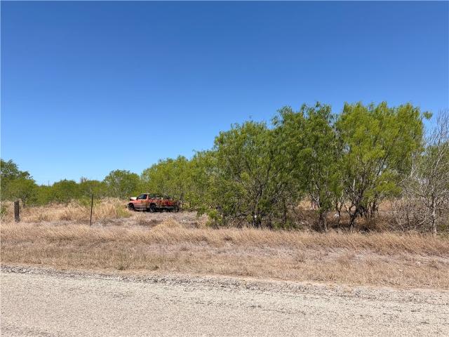 Land for sale in Bishop, Texas