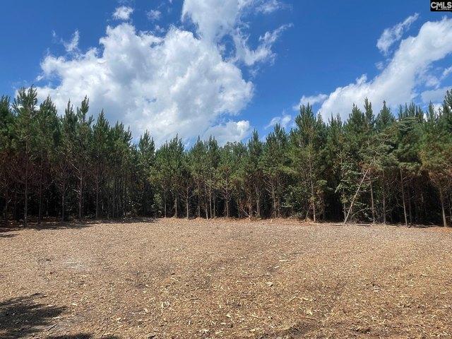 Land for sale in Cassatt, South Carolina