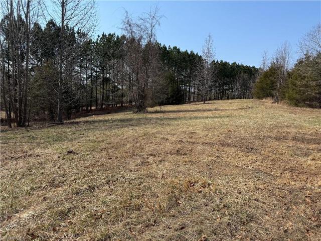 Land for sale in Blanch, North Carolina