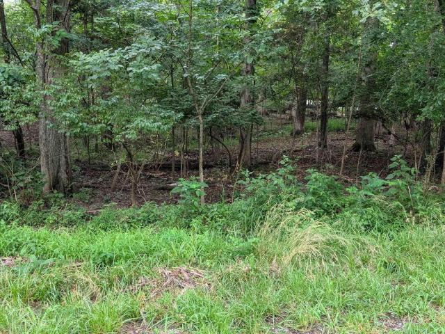 Land for sale in Goreville, Illinois