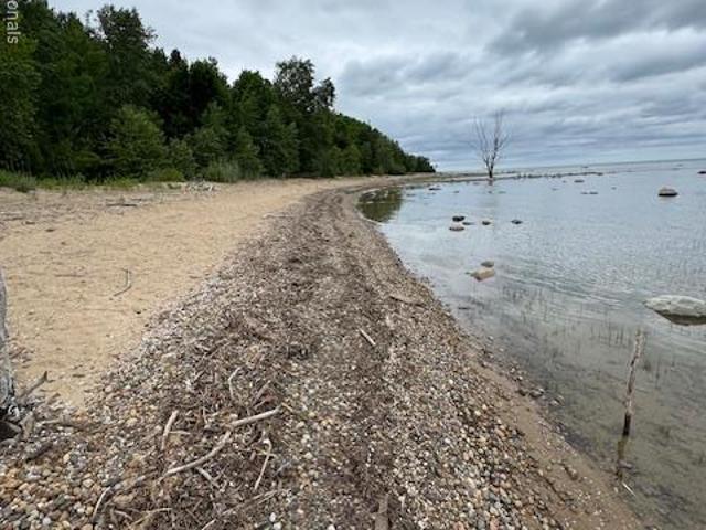 Land for sale in Forestville