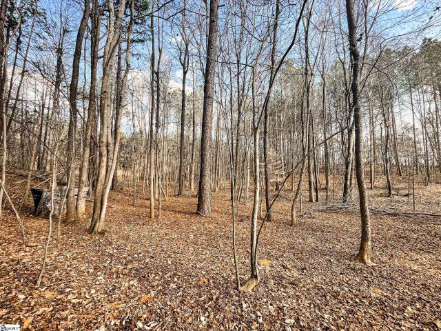 Land for sale in Union, South Carolina