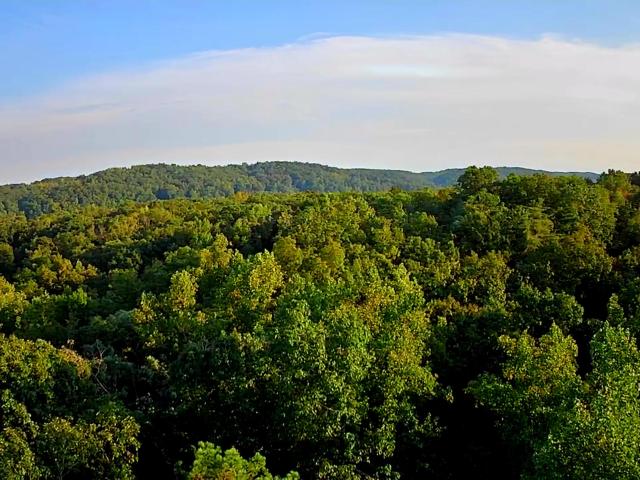 Land for sale in Tennessee