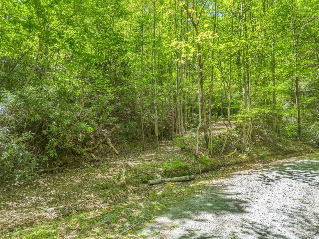 Land for sale in Tryon, North Carolina