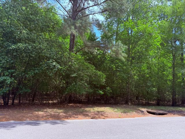 Land for sale in Barnwell, South Carolina