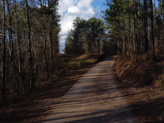 Land for sale in Wedowee, Alabama