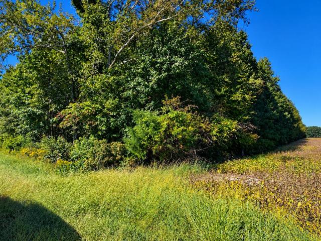 Land for sale in Accomac, Accomack County